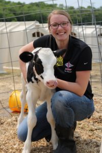 Chelsea Daines enjoys spending time on the farm with calves when she is not hard a work in the office.